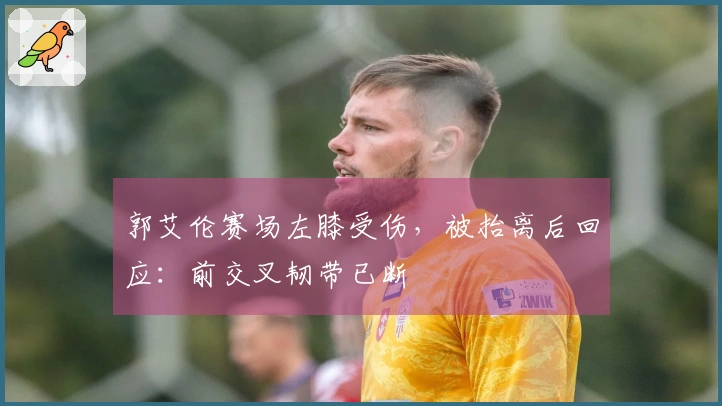 郭艾伦赛场左膝受伤，被抬离后回应：前交叉韧带已断